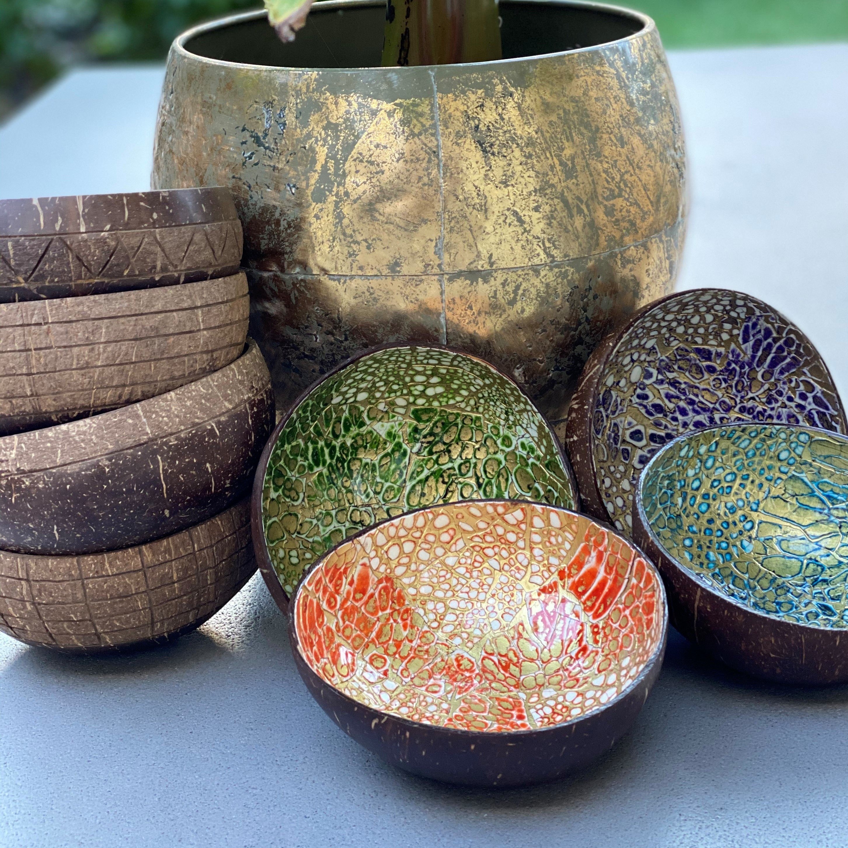 Coconut Bowl Gekleurd: Set van 4
